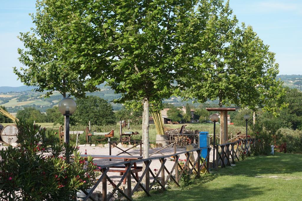 Agriturismo Consalvi Valentina Маршано Экстерьер фото